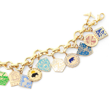 National Park 12 Enamel Charm Infinity Bracelet Bundle, Gold