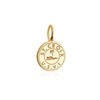 St. Croix Passport Stamp Charm, Gold Mini