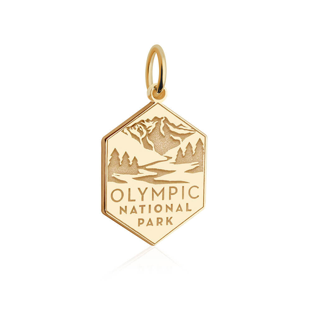 hexagonal charm with a polished gold border and a matte gold background. The charm features raised, polished gold illustrations of a mountain range, evergreen trees, and a winding river. Below the illustration, the text 