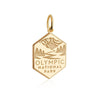 hexagonal charm with a polished gold border and a matte gold background. The charm features raised, polished gold illustrations of a mountain range, evergreen trees, and a winding river. Below the illustration, the text 