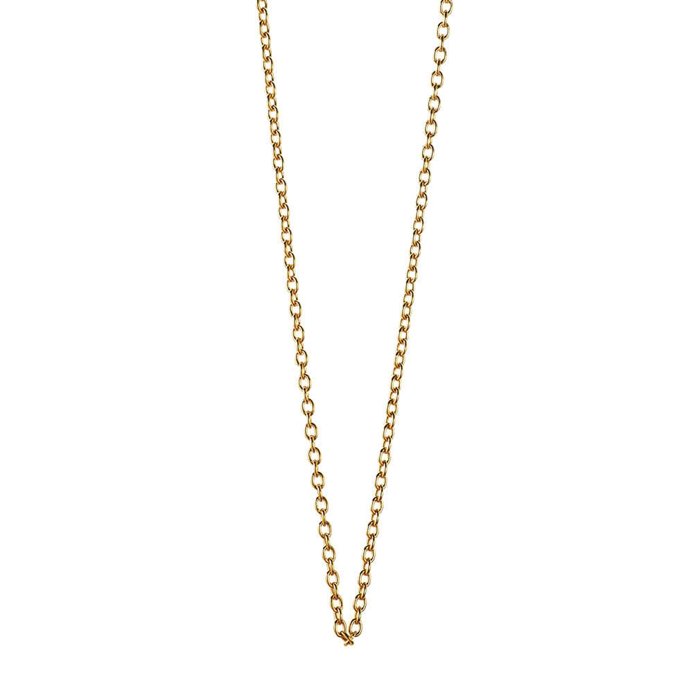 Gold charm necklace featuring a classic cable chain design with polished oval links and a warm, reflective metallic finish.