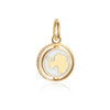 Antarctica Continent Spinner Charm, Solid Gold, White Enamel