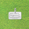 Argentina Passport Stamp Charm Silver