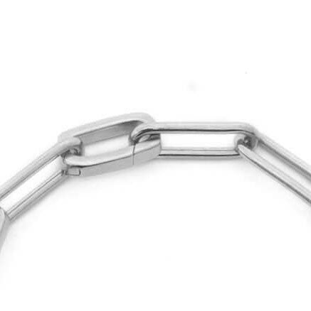 The Clip Charm Holder & Link, Silver x 2