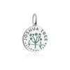 Joshua Tree National Park Charm, Silver Enamel