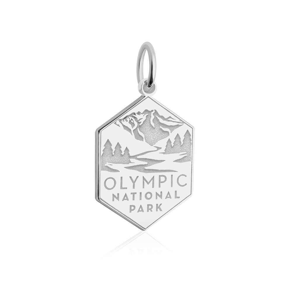  hexagonal charm with a polished sterling silver border and a matte silver background. The charm features raised, polished sterling silver illustrations of a mountain range, evergreen trees, and a winding river. Below the illustration, the text 