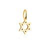 Solid Gold Mini Charm, Star of David