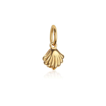 Clamshell Charm Solid Gold Mini