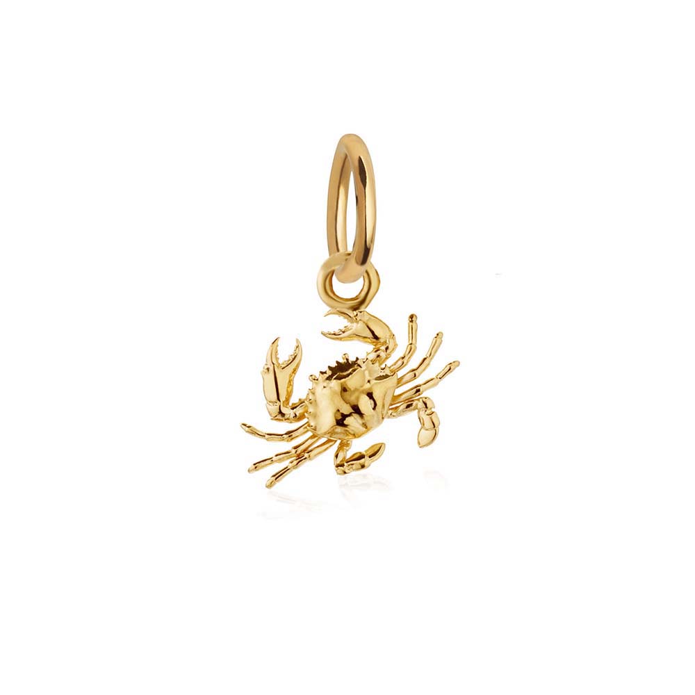 Gold Mini Crab Charm - JET SET CANDY  (1977362284602)