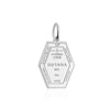 Guyana Passport Stamp Charm Silver