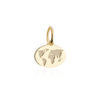 World Map Charm, Solid Gold Mini